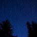 green trees under blue sky during night time